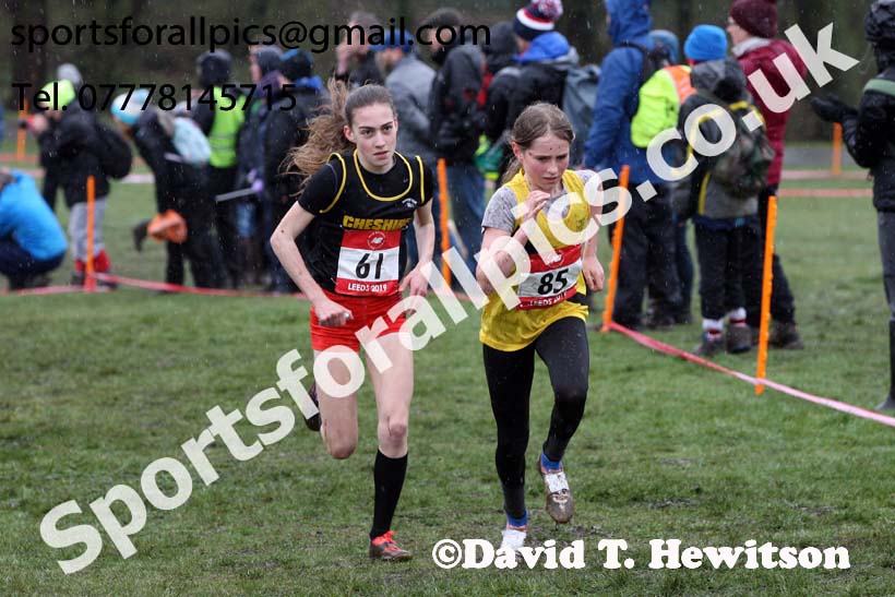 Junior girls 2019 New Balance English Schools Cross Country Champs, Temple Newsam, Leeds. Photo:  David T. Hewitson/Sports for All Pics